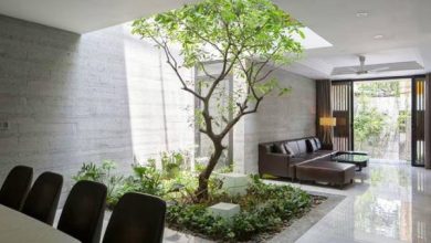 Trang Trí Phòng Khách Bằng Cây Xanh