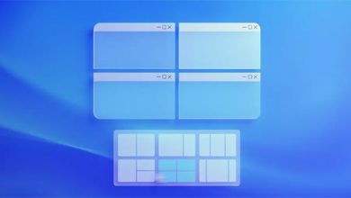 Windows 11