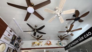 Quạt trần giá rẻ và uy tín tại Hà Nội